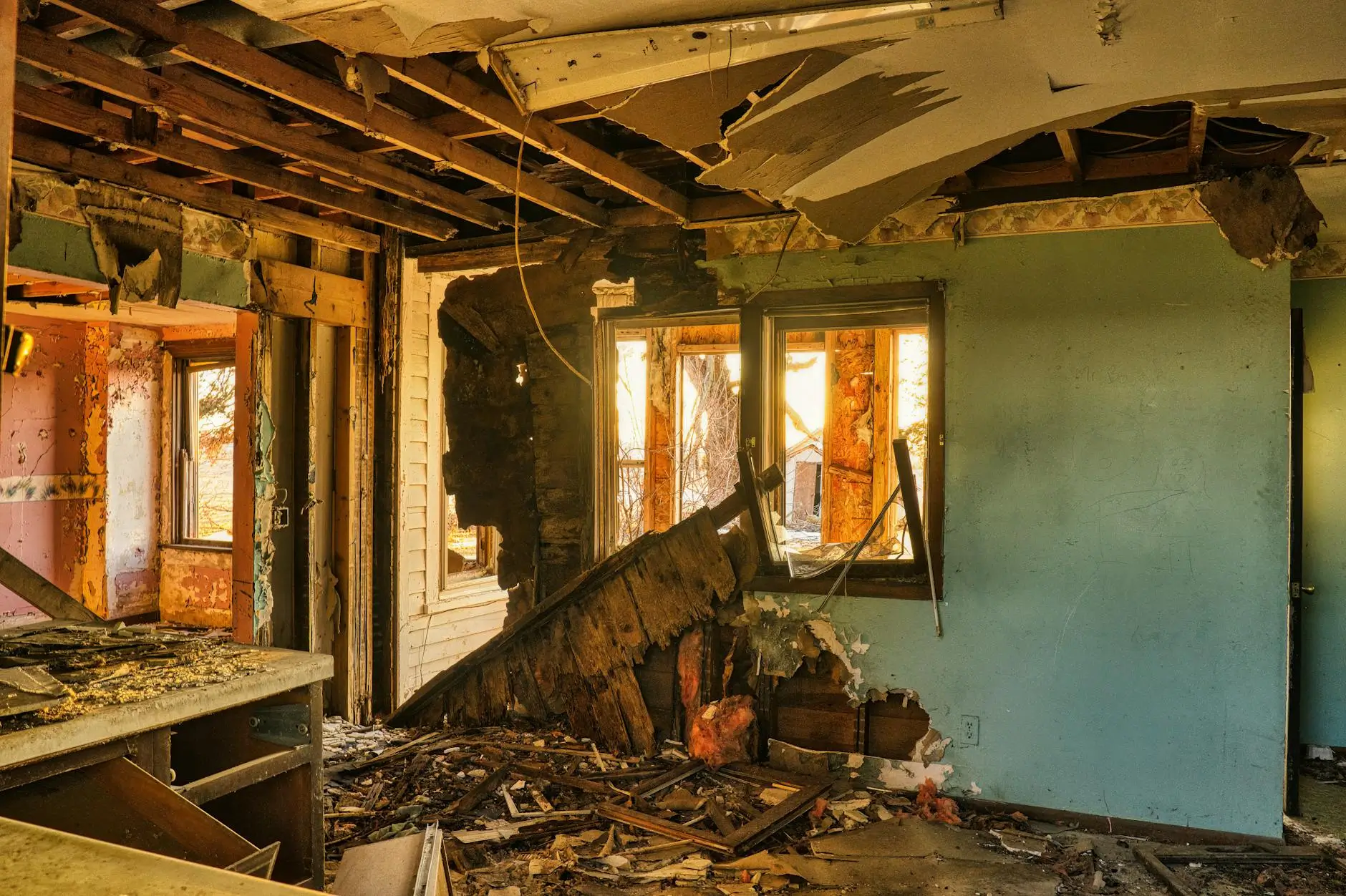 Lehi's Trusted Certified Mold Remediation Experts — Lehi, UT