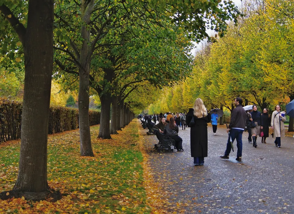Dedicated Mold Remediation Experts in Draper, Utah — Draper, UT