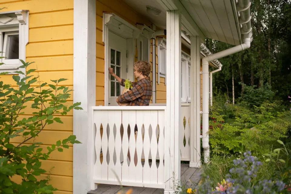mold removal Lindon