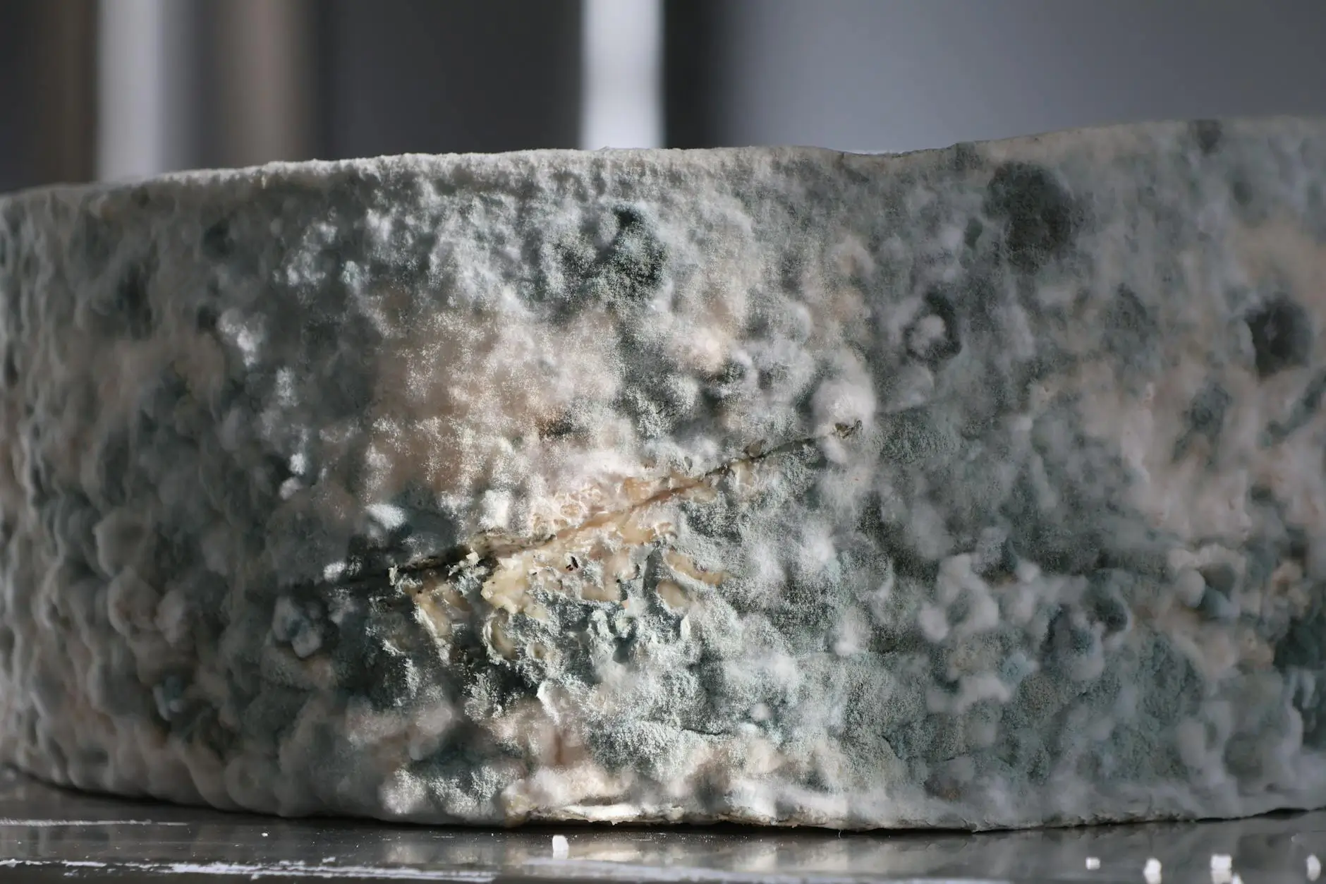 Black Mold Testing & Complete Surface Abatement — Lehi